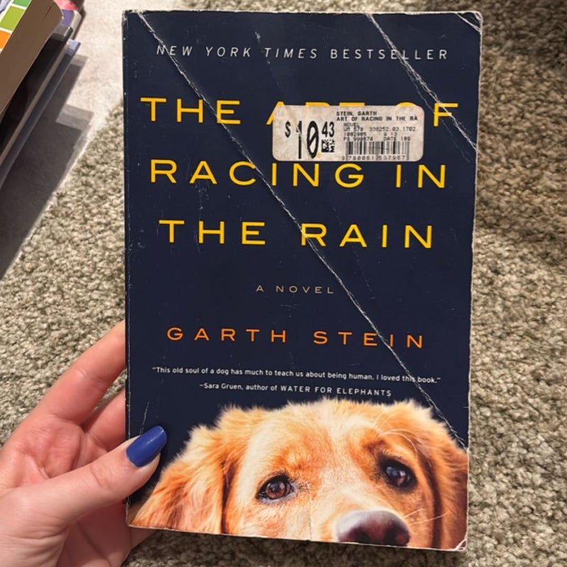 The Art of Racing in the Rain