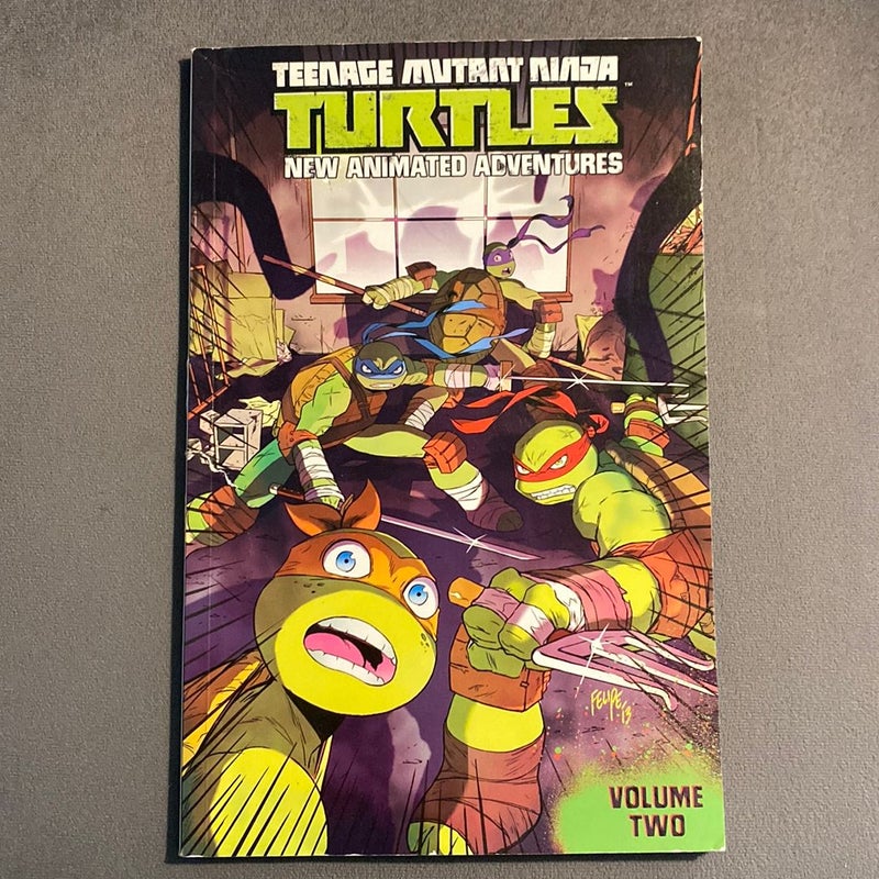 Teenage Mutant Ninja Turtles: New Animated Adventures Volume 2