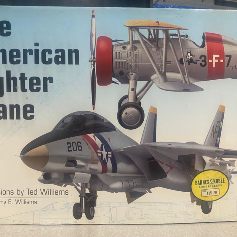   The American Fighter Plane