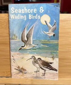 Seashore and Wading Birds