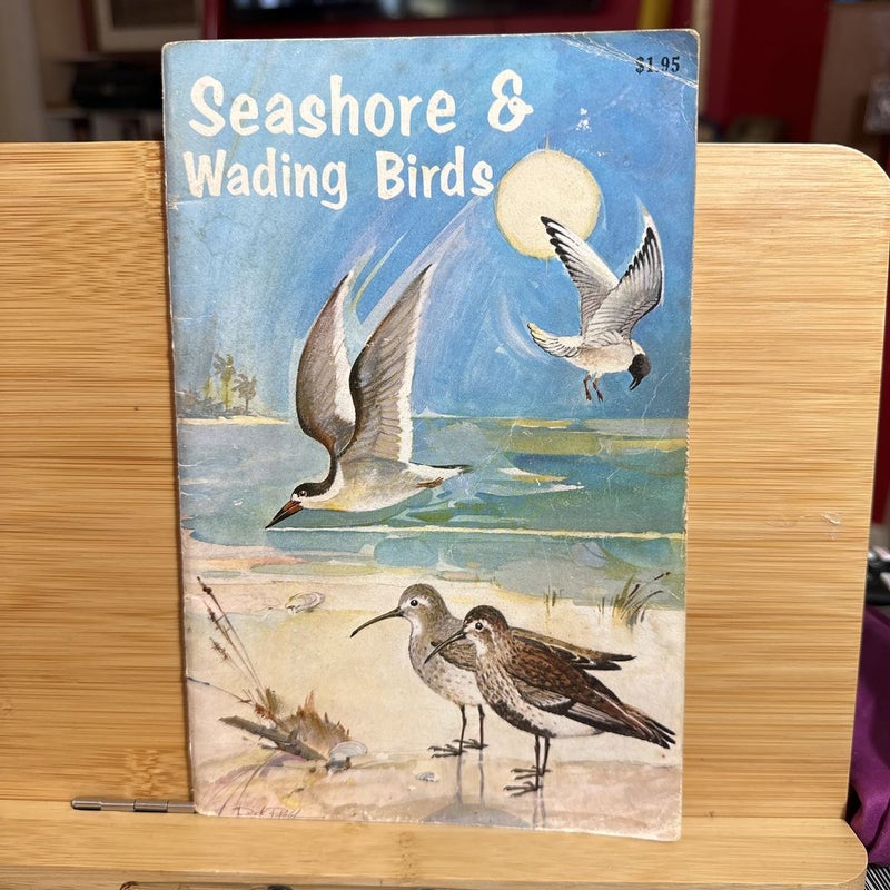 Seashore and Wading Birds
