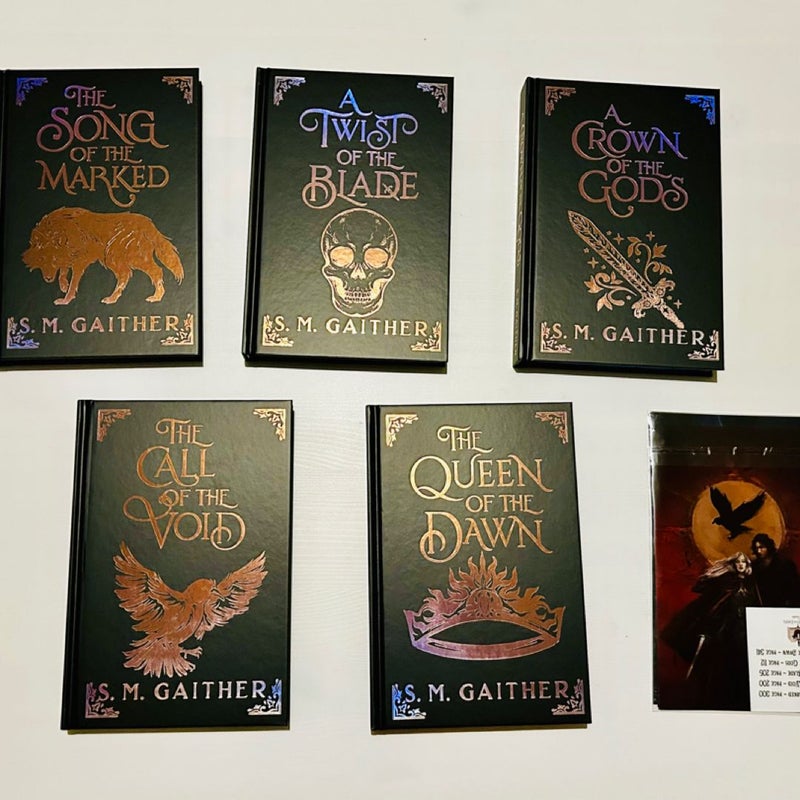 Books for Days Crate S. M. Gaither The Song of the Marked Series