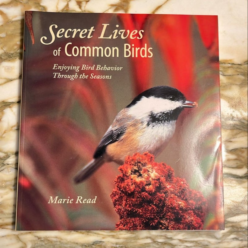 Secret Lives of Common Birds