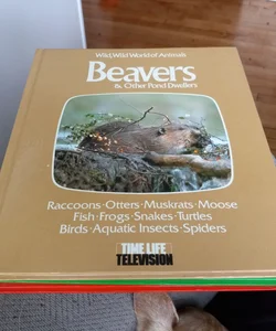 Beavers and other Pond dwellers