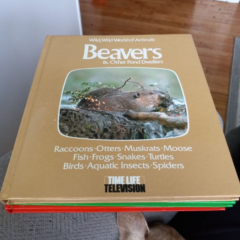 Beavers and other Pond dwellers