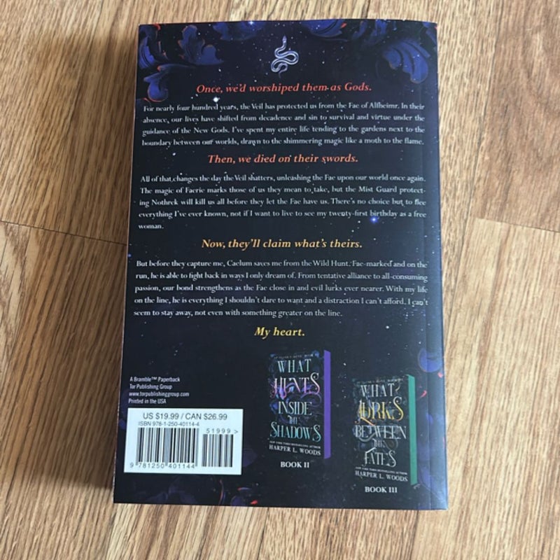 What Lies Beyond the Veil