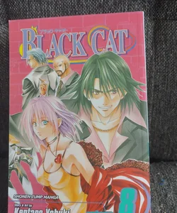 Black Cat, Vol. 8