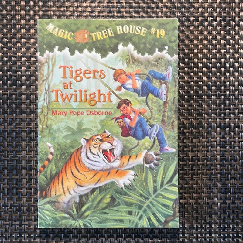 Tigers at Twilight