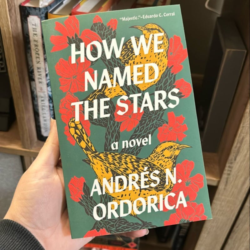 How We Named the Stars