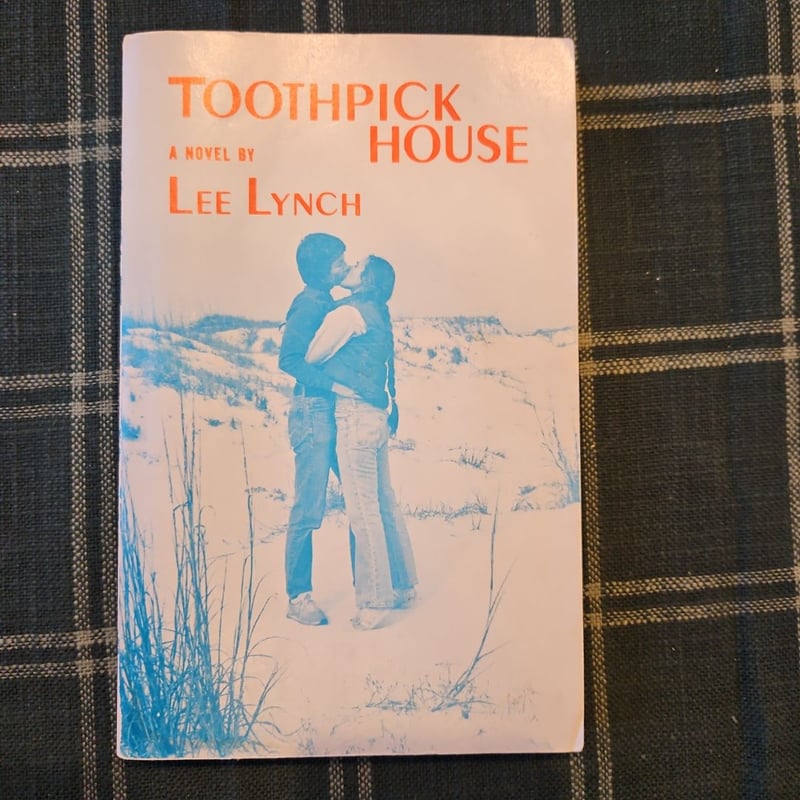 Toothpick House by Lee Lynch