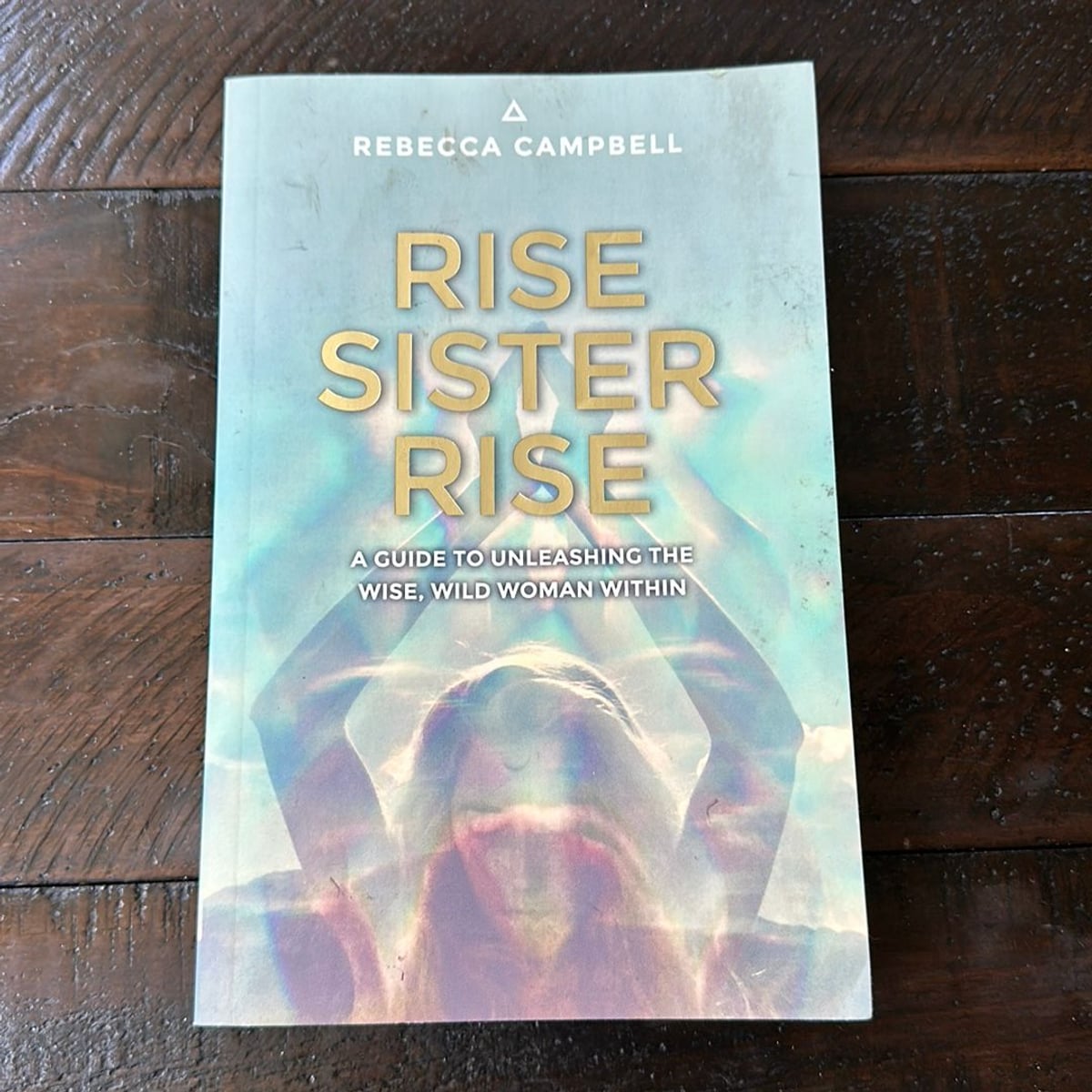 Rise Sister Rise by Rebecca Campbell