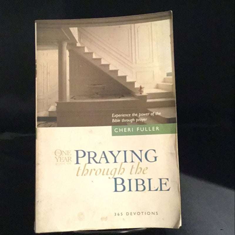 The One Year Praying Through the Bible