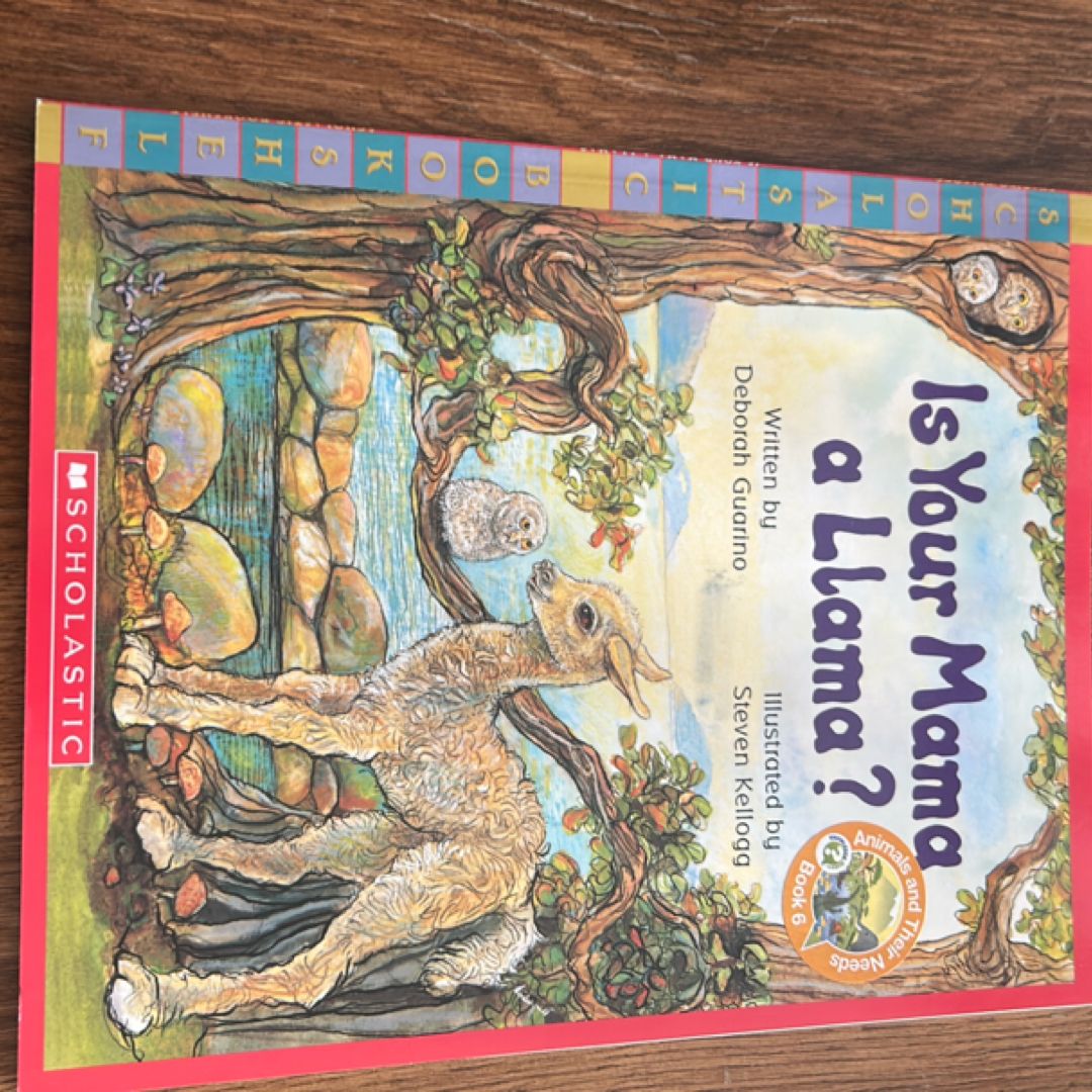 Is Your Mama a Llama?