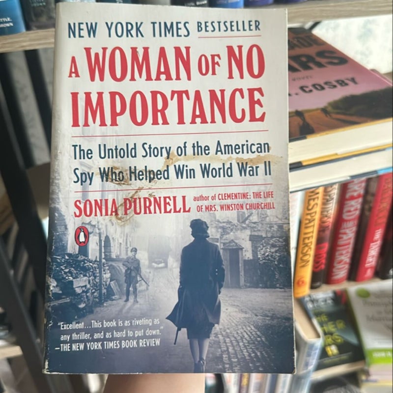 A Woman of No Importance