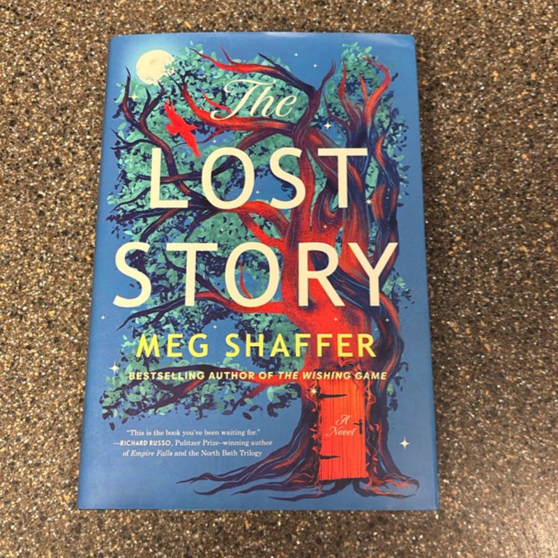 The Lost Story