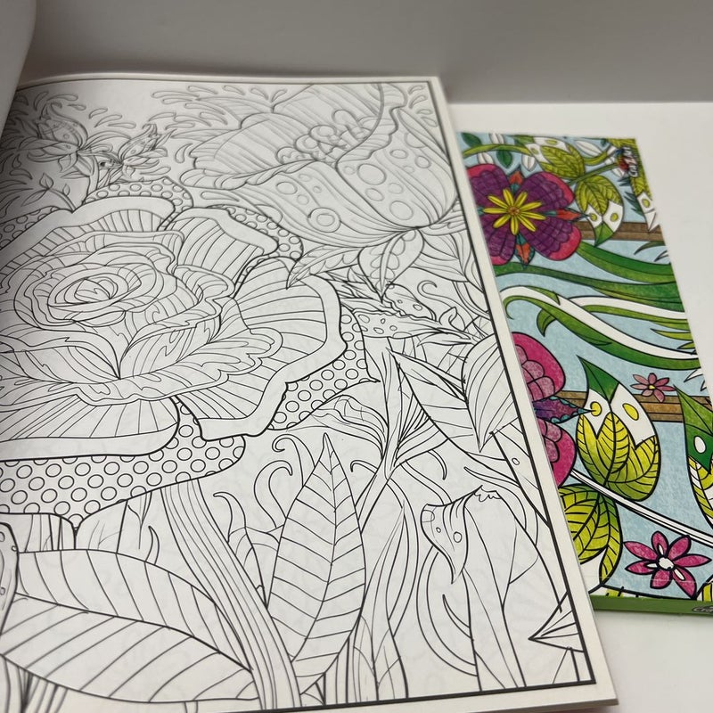Timeless Creations Bundle (2 Coloring Books): Magical Gardens & Colors in Bloom 