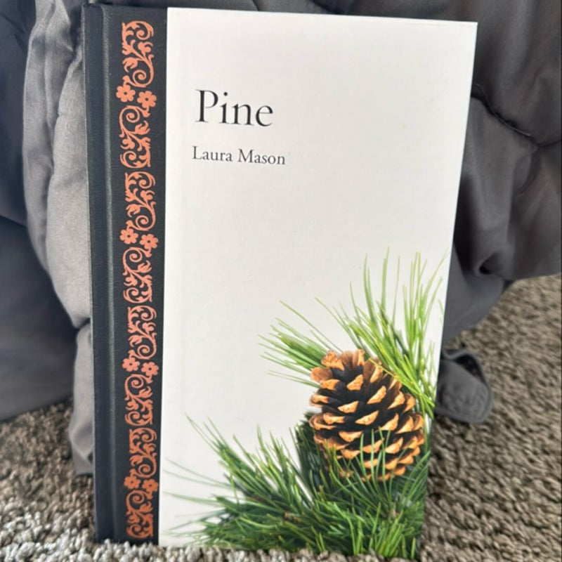 Pine