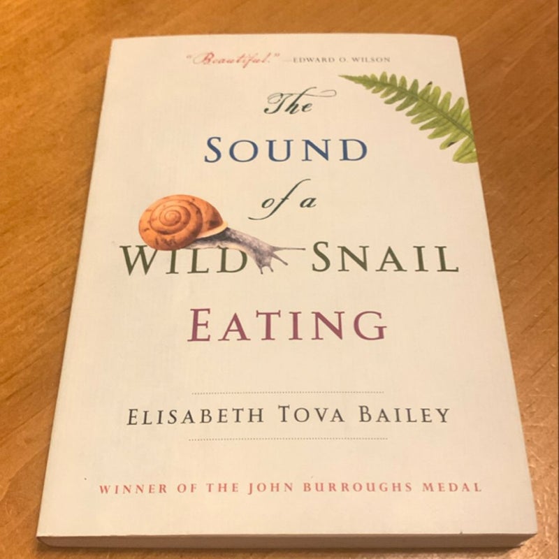 The Sound of a Wild Snail Eating