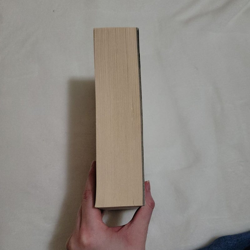 The Shadow of What Was Lost