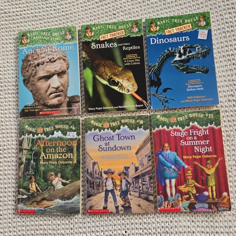 Set of 6 Magic Tree House Books