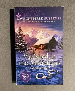 Vanished In The Mountains 
