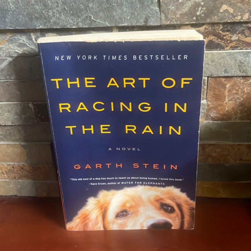The Art of Racing in the Rain