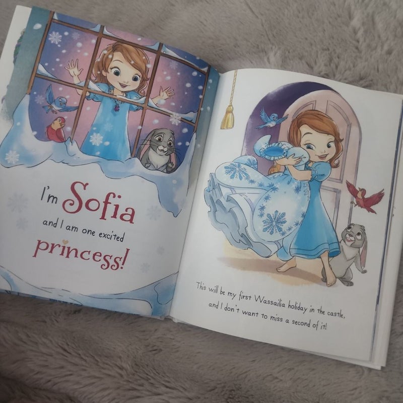 Sofia the First Holiday in Enchancia