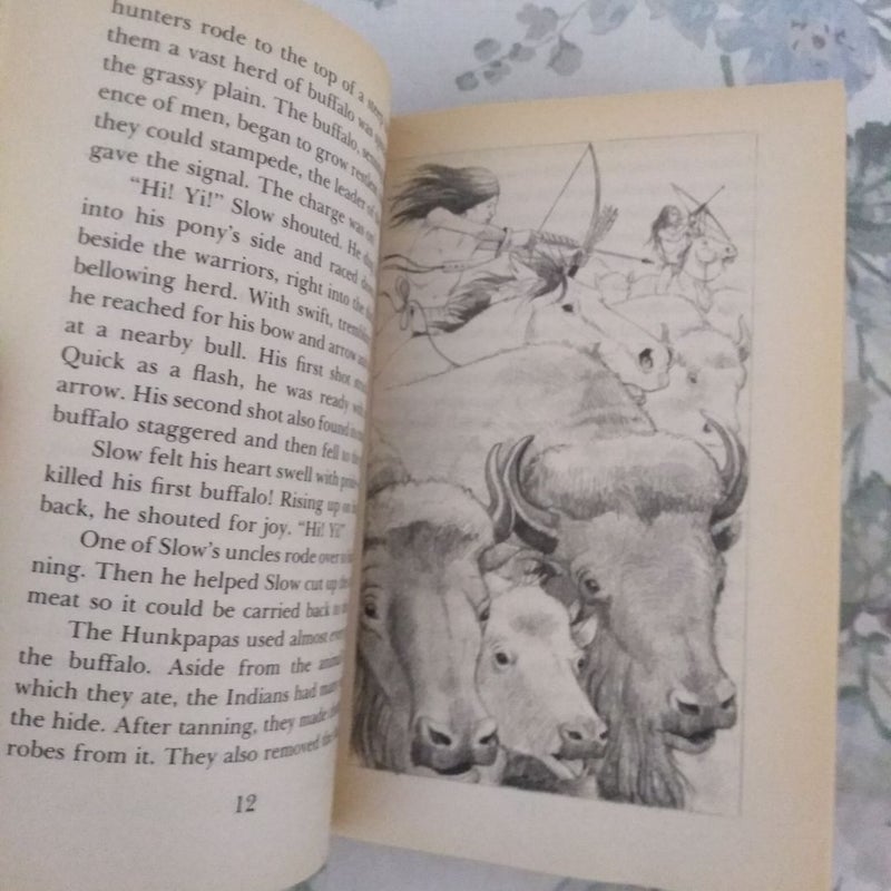 The Story of Sitting Bull