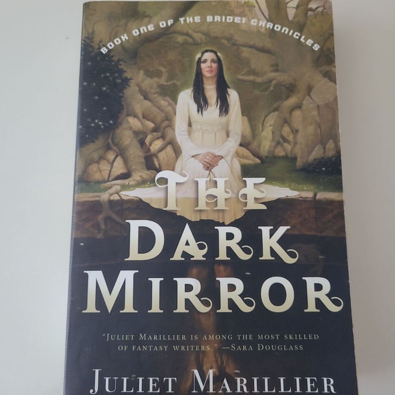 The Dark Mirror