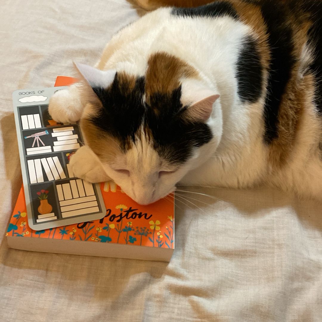 Elizabeth Thornsberry