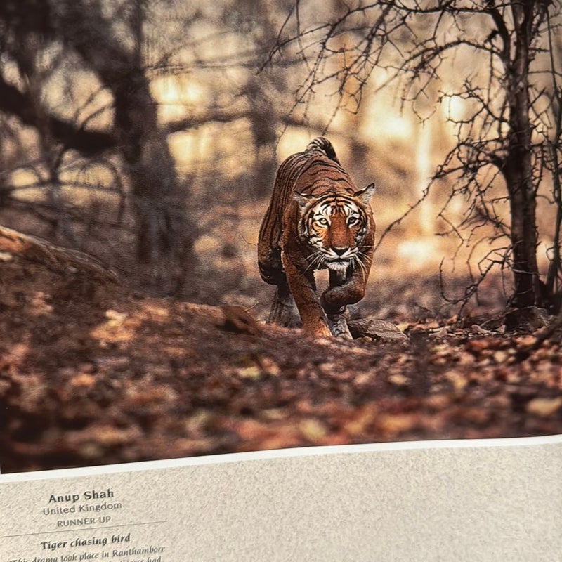 Wildlife Photographer of the Year Portfolio Seven