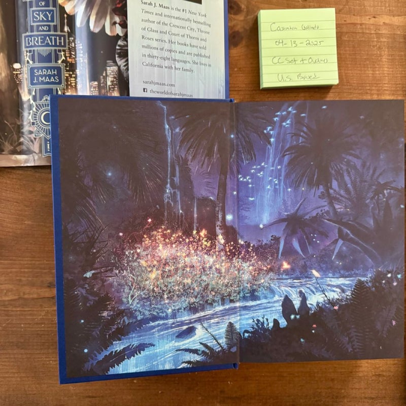 Crescent City Illumicrate Bundle