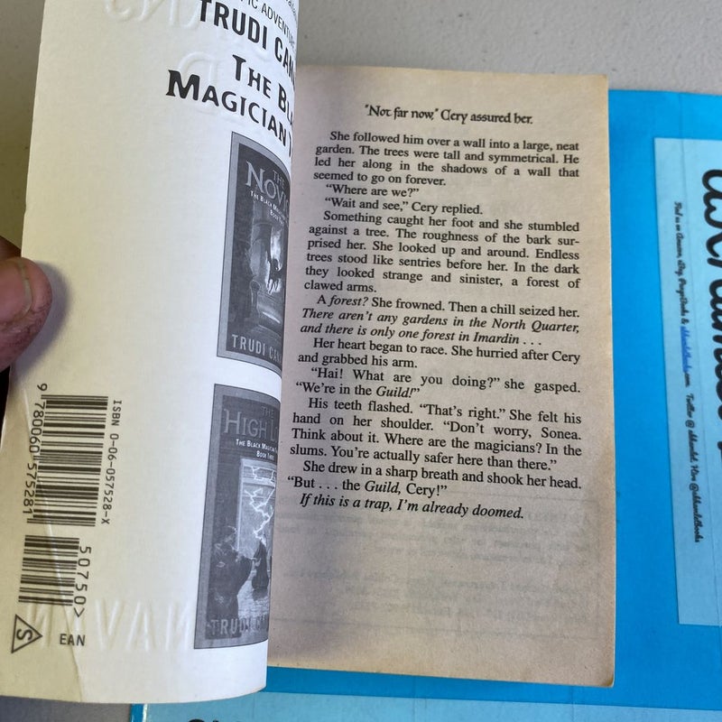 The Magicians' Guild