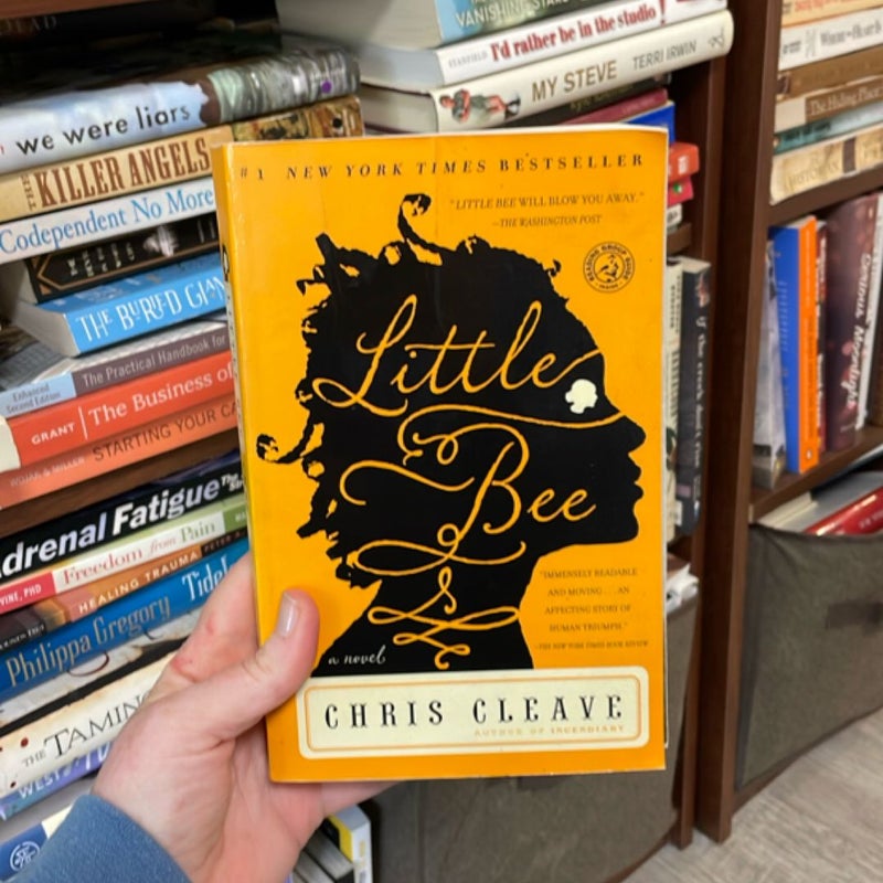 Little Bee