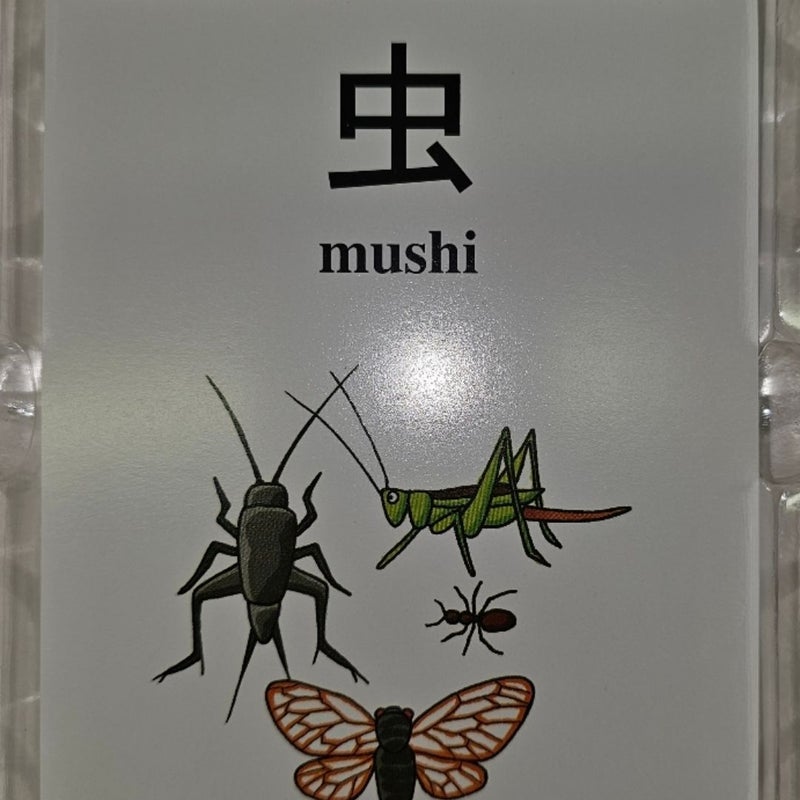 Japanese flash cards for kids