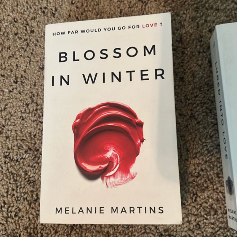Blossom in Winter