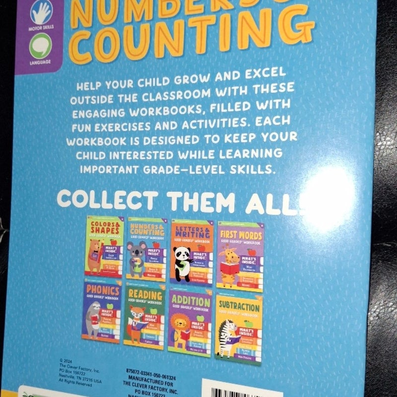 Numbers and Counting Kids Workbook