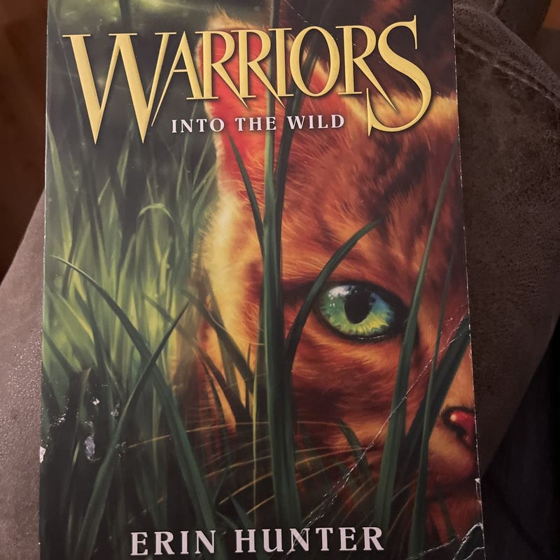 Warriors #1: into the Wild