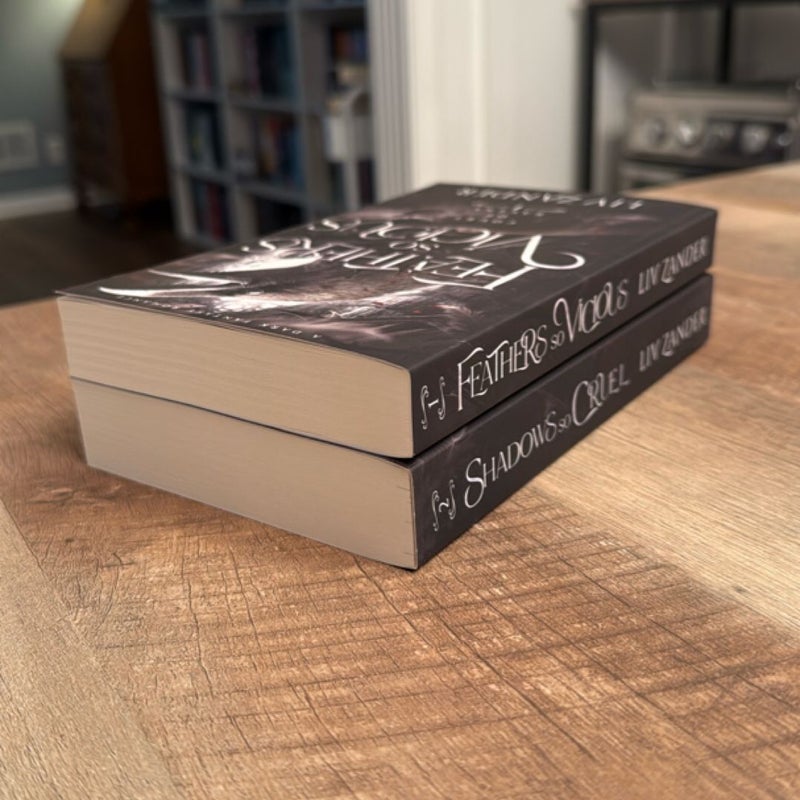 Feathers So Vicious: a Dark Fantasy Romance