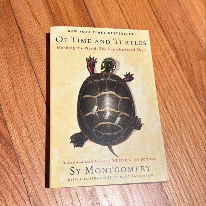 Of Time and Turtles