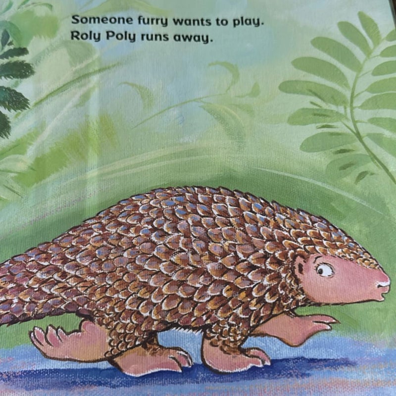 Roly Poly Pangolin