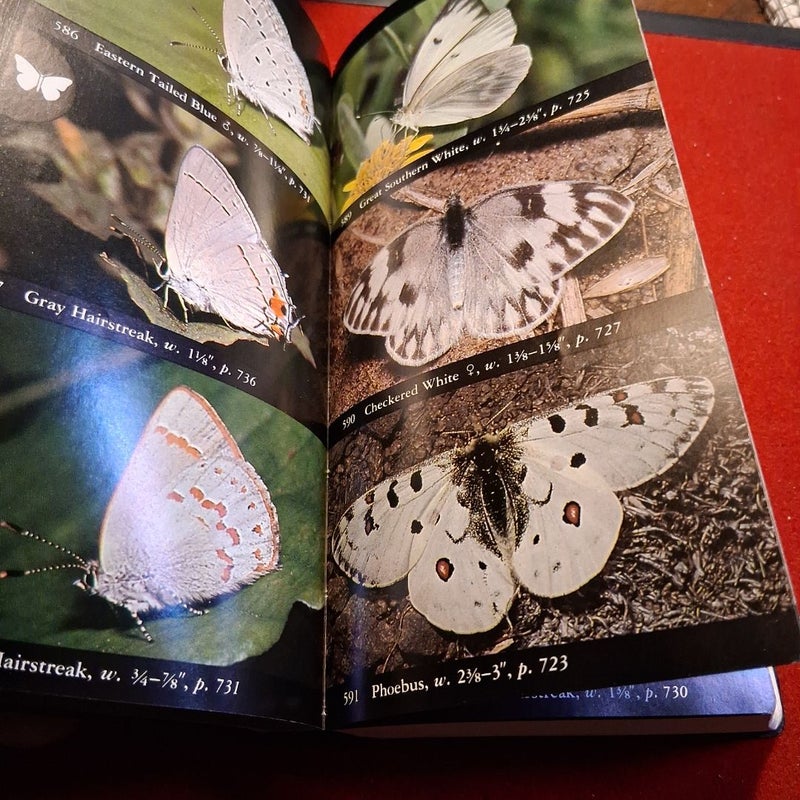 National Audubon Society Field Guide to Insects and Spiders
