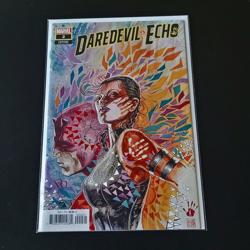 Daredevil & Echo #2