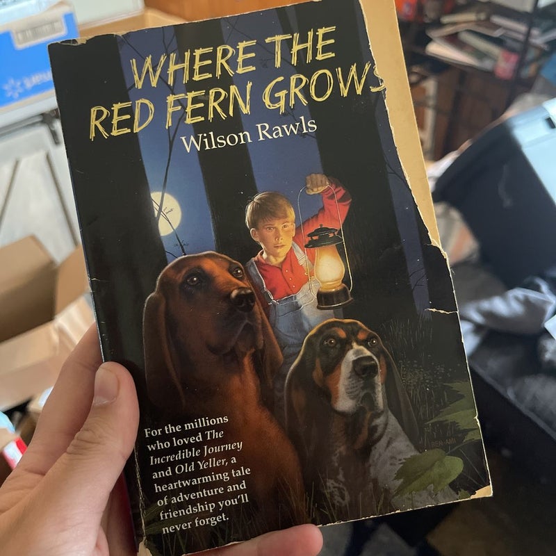 Where the Red Fern Grows