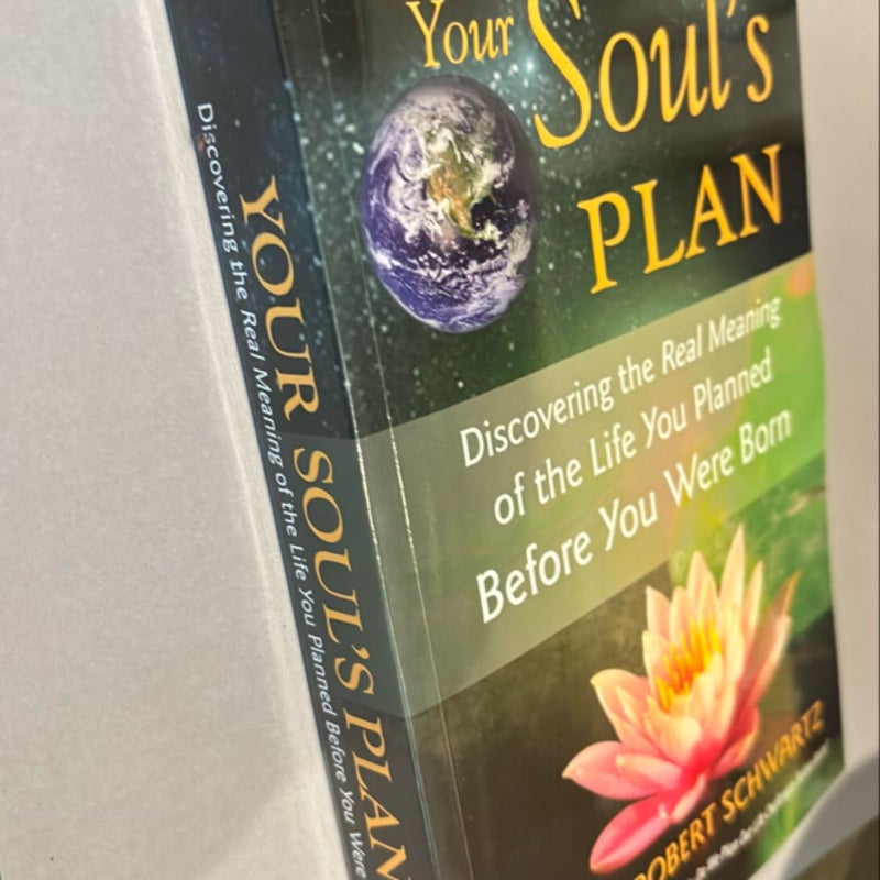 Your Soul's Plan