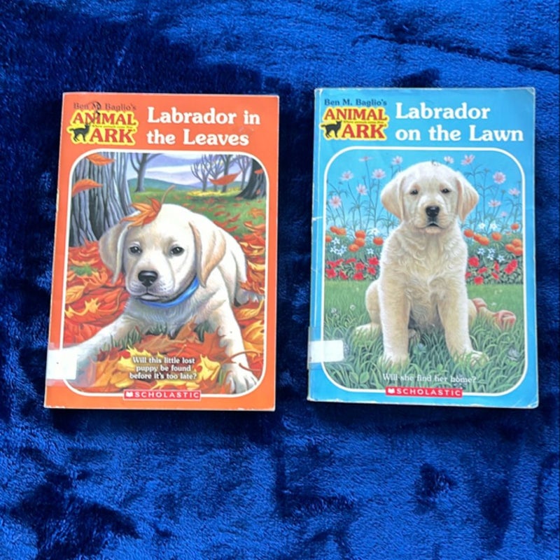 BOOK BUNDLE: Labrador on the Lawn and Labrador in the Leaves