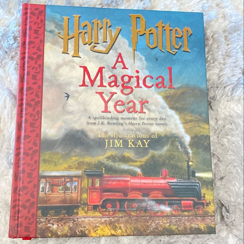 Harry Potter - A Magical Year