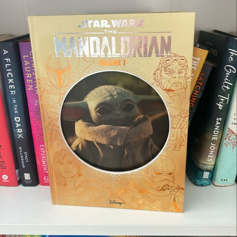 Star Wars- The Mandalorian Volume 1