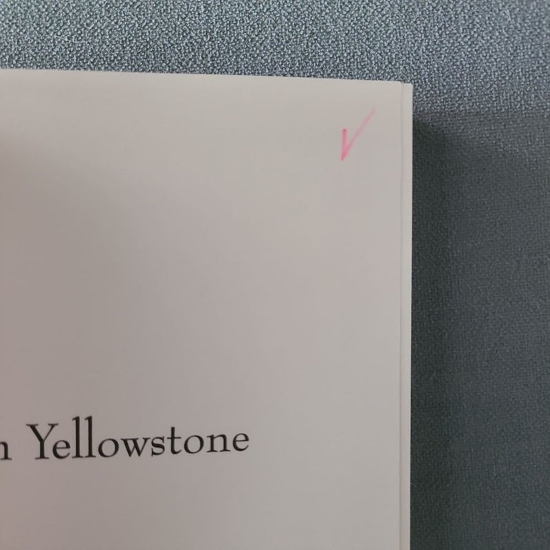 Death in Yellowstone