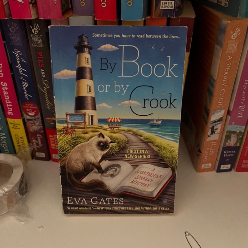 By book or by crook a lighthouse library mystery 1